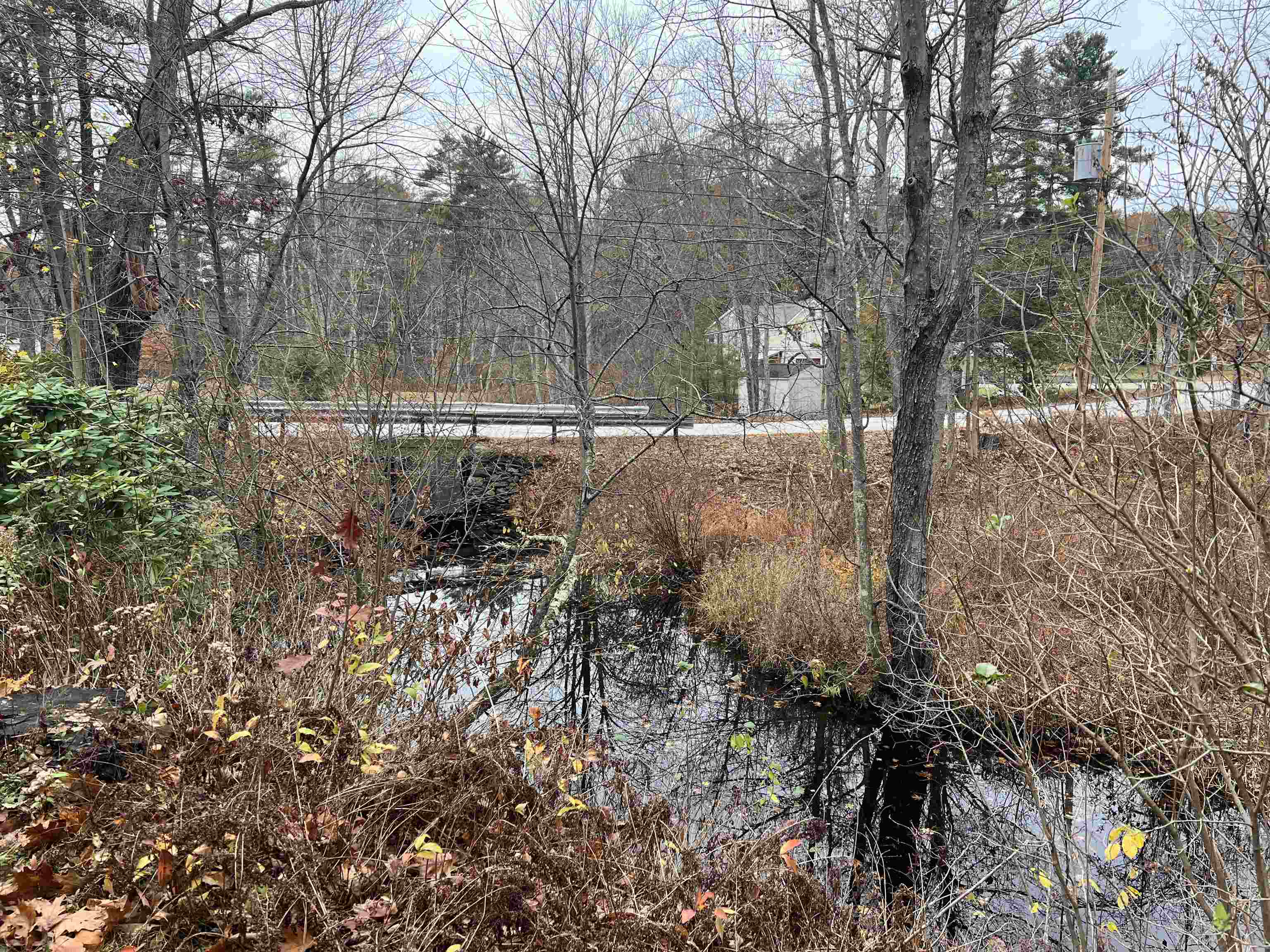 11 Towle Road Chester, NH 03036 - Photo 29 of 31