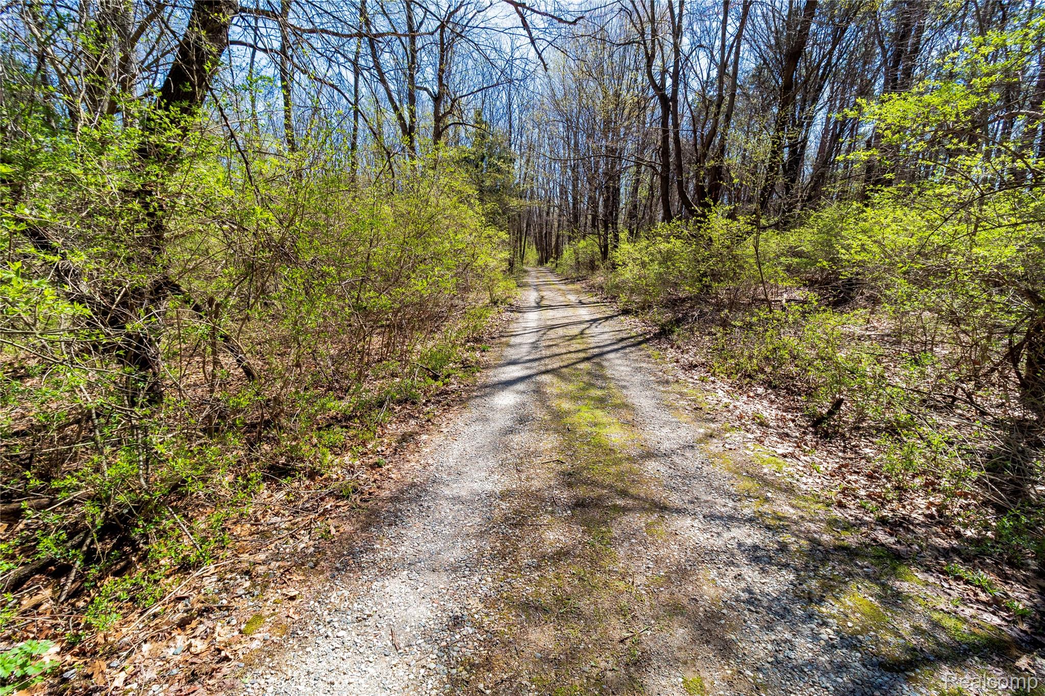 4450 Blood Road Metamora, MI 48455 - Photo 53 of 61 Driveway.jpg