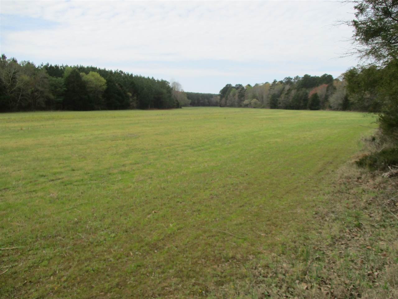 3202 Ed Barham Road Bethel Springs, TN 38315 - Photo 1 of 11 Gallery Image 1