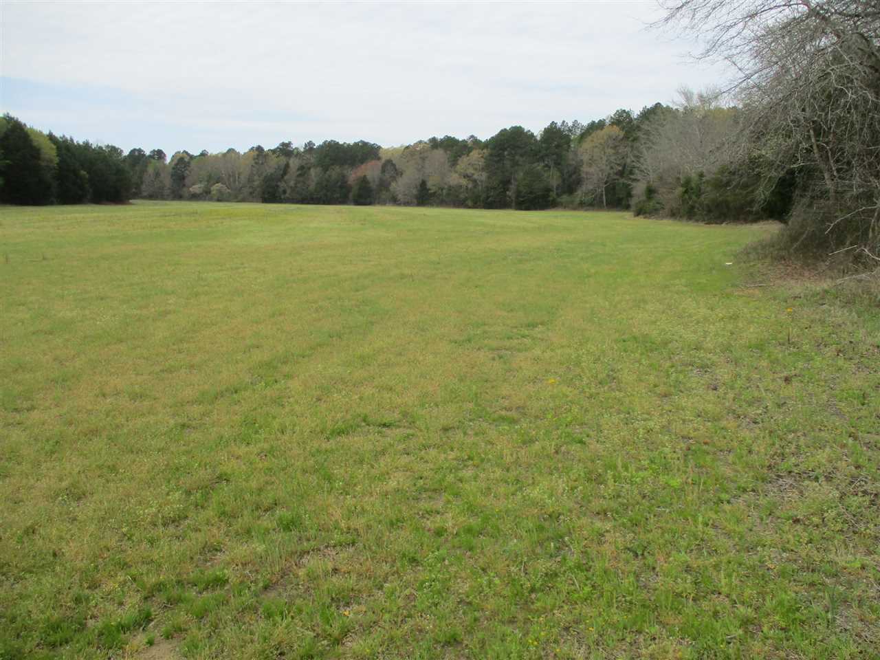 3202 Ed Barham Road Bethel Springs, TN 38315 - Photo 11 of 11 Gallery Image 11