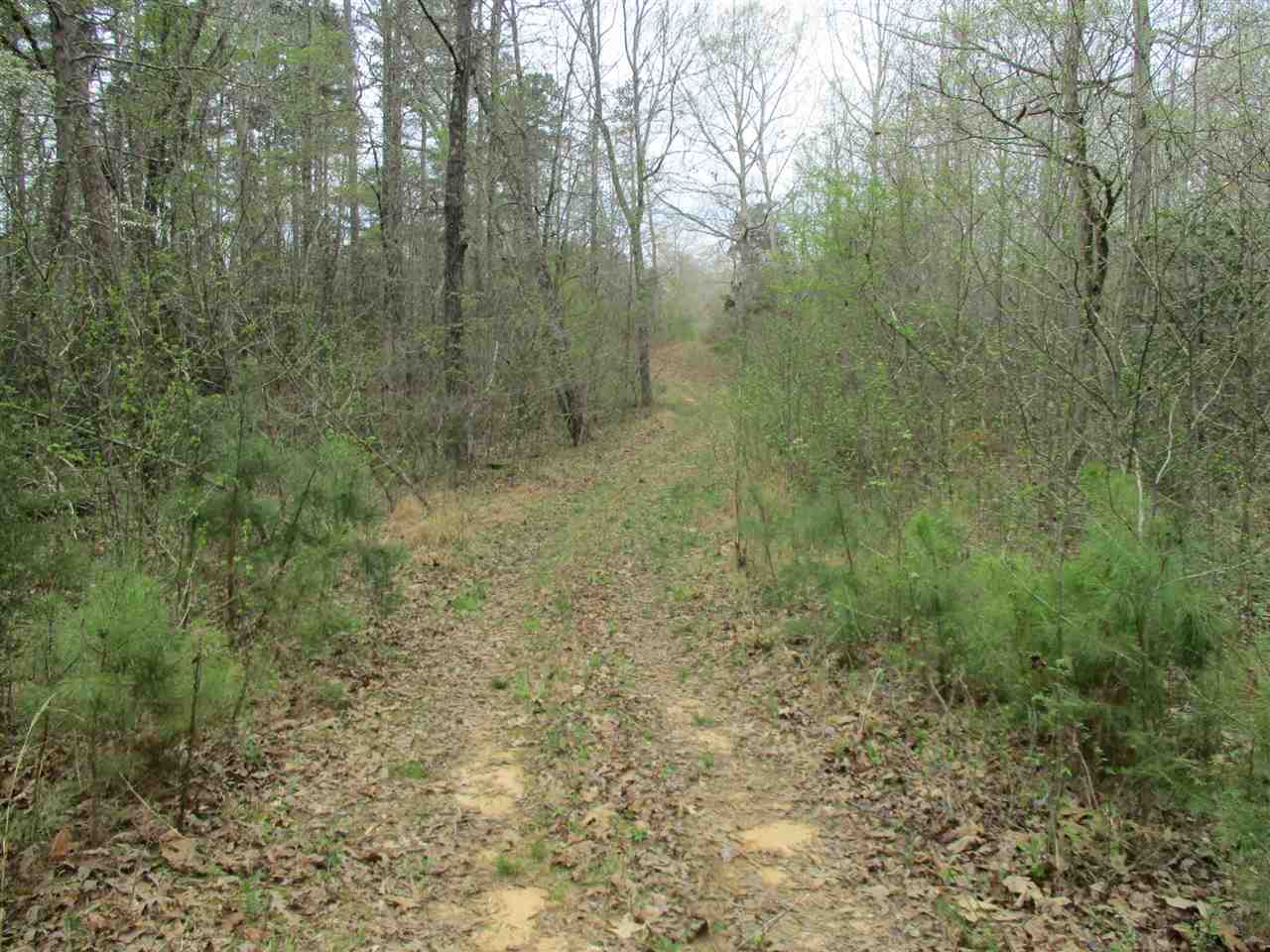 3202 Ed Barham Road Bethel Springs, TN 38315 - Photo 4 of 11 Gallery Image 4