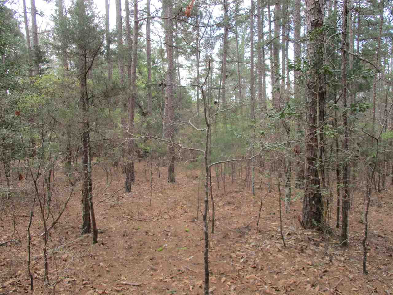 3202 Ed Barham Road Bethel Springs, TN 38315 - Photo 5 of 11 Gallery Image 5