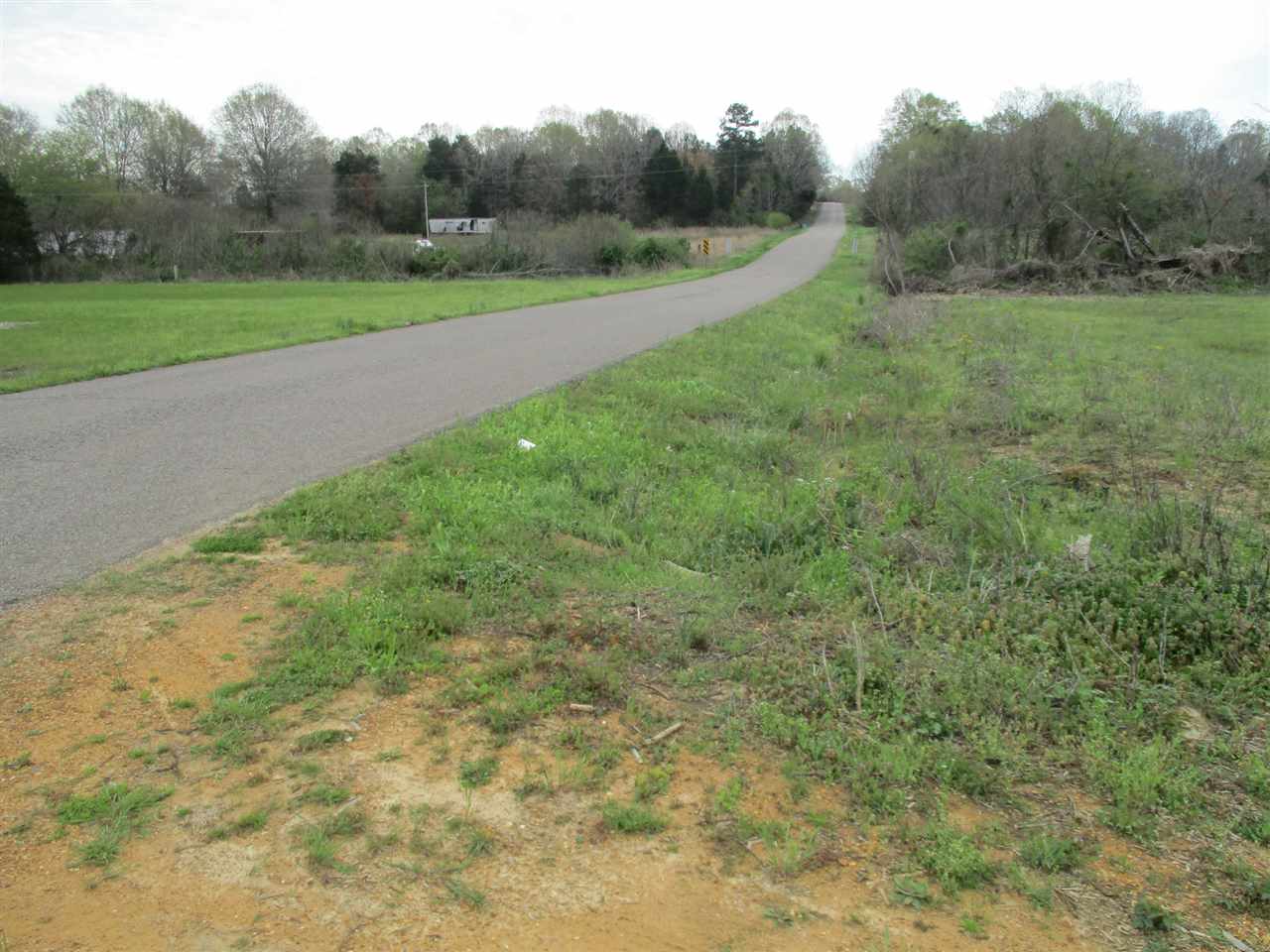 3202 Ed Barham Road Bethel Springs, TN 38315 - Photo 7 of 11 Gallery Image 7