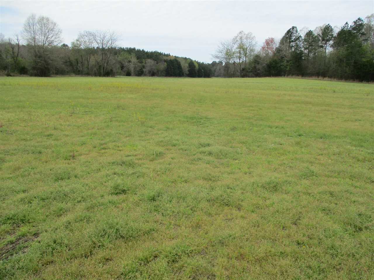 3202 Ed Barham Road Bethel Springs, TN 38315 - Photo 8 of 11 Gallery Image 8