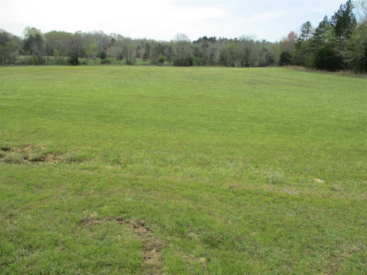 3202 Ed Barham Road Bethel Springs, TN 38315 - Photo 9 of 11 Gallery Image 9