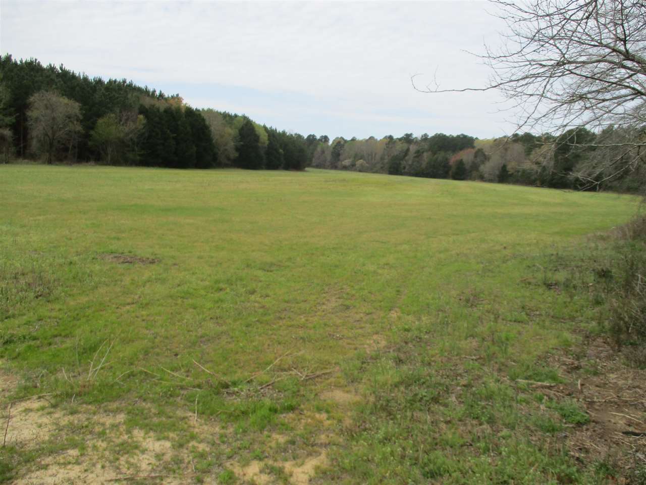 3202 Ed Barham Road Bethel Springs, TN 38315 - Photo 10 of 11 Gallery Image 10