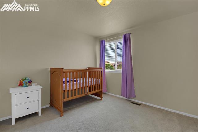12250 Rio Secco Road Peyton, CO 80831 - Photo 24 of 35