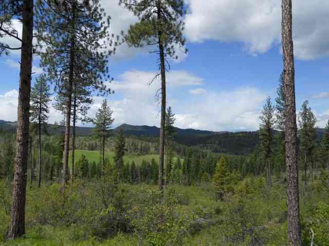 Lot 3 Gilson Road Addy, WA 99101 - Photo 2 of 3
