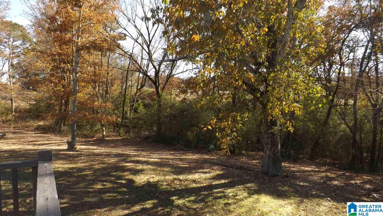 46785 Highway 231 Oneonta, AL 35121 - Photo 46 of 49