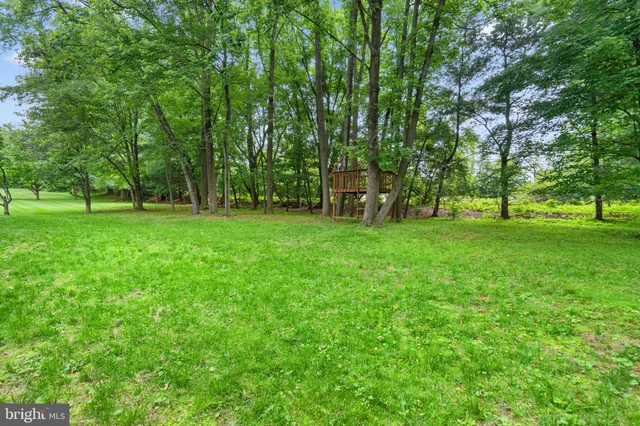 a view of a grassy field with trees in the background