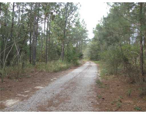 270 Lucas Road Lucedale, MS 39452 - Photo 16 of 16 Additional Photo