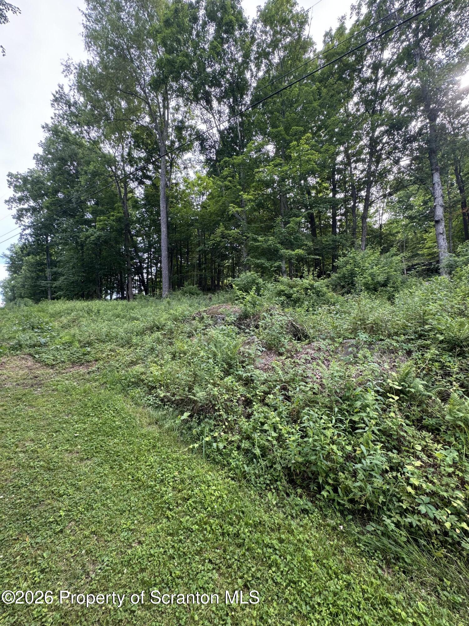 743 Pratt Hollow Road Nicholson, PA 18446 - Photo 56 of 68 Outside