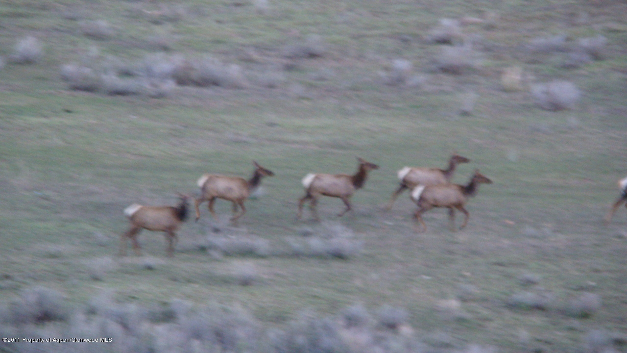 142 Jensen Lane Rifle, CO 81650 - Photo 5 of 11
