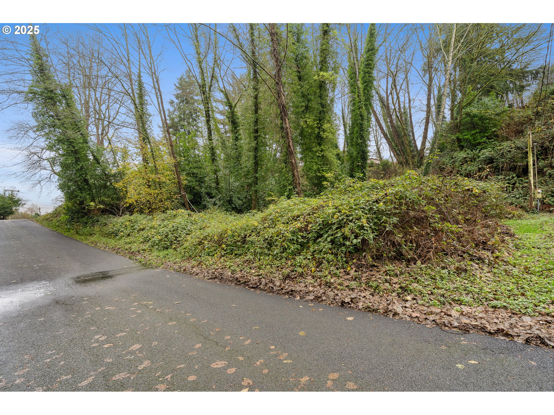 I Street Nehalem, OR 97131 - Photo 4 of 14