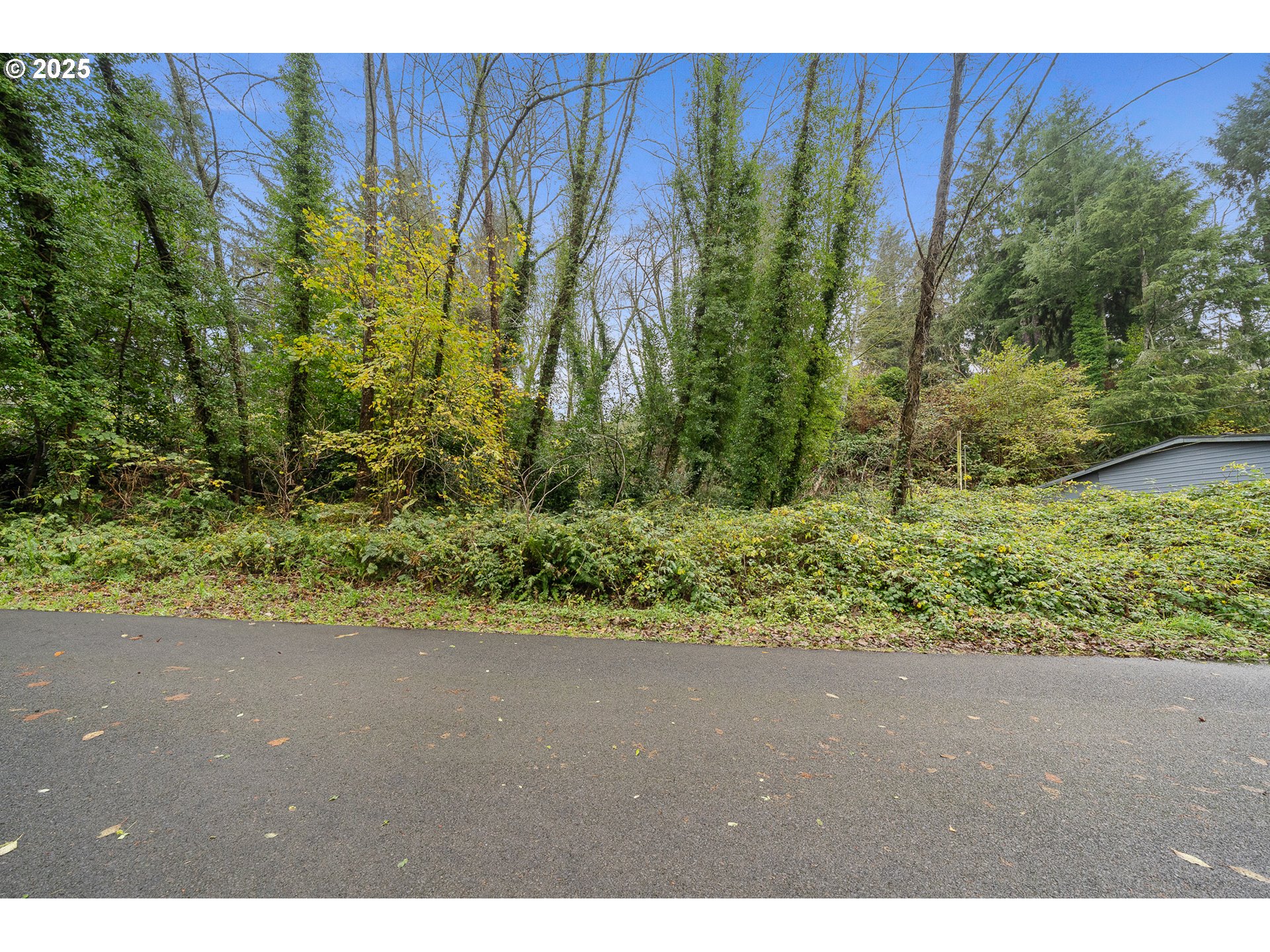 I Street Nehalem, OR 97131 - Photo 6 of 14