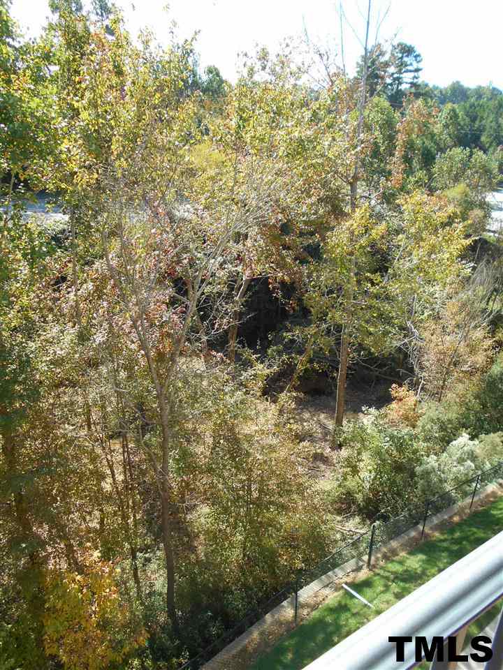 3811 Lunceston Way, Unit 304 Raleigh, NC 27613 - Photo 21 of 23 Gallery Image 21