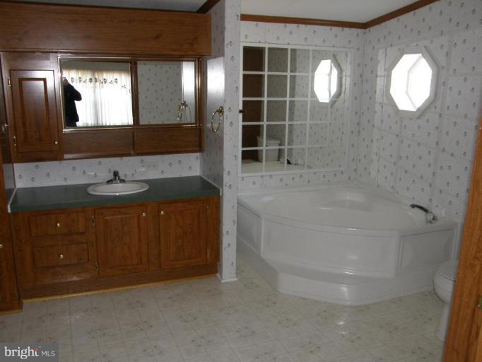 16817 Alcott Road, Unit 633 Hagerstown, MD 21740 - Photo 10 of 14 Master Bath