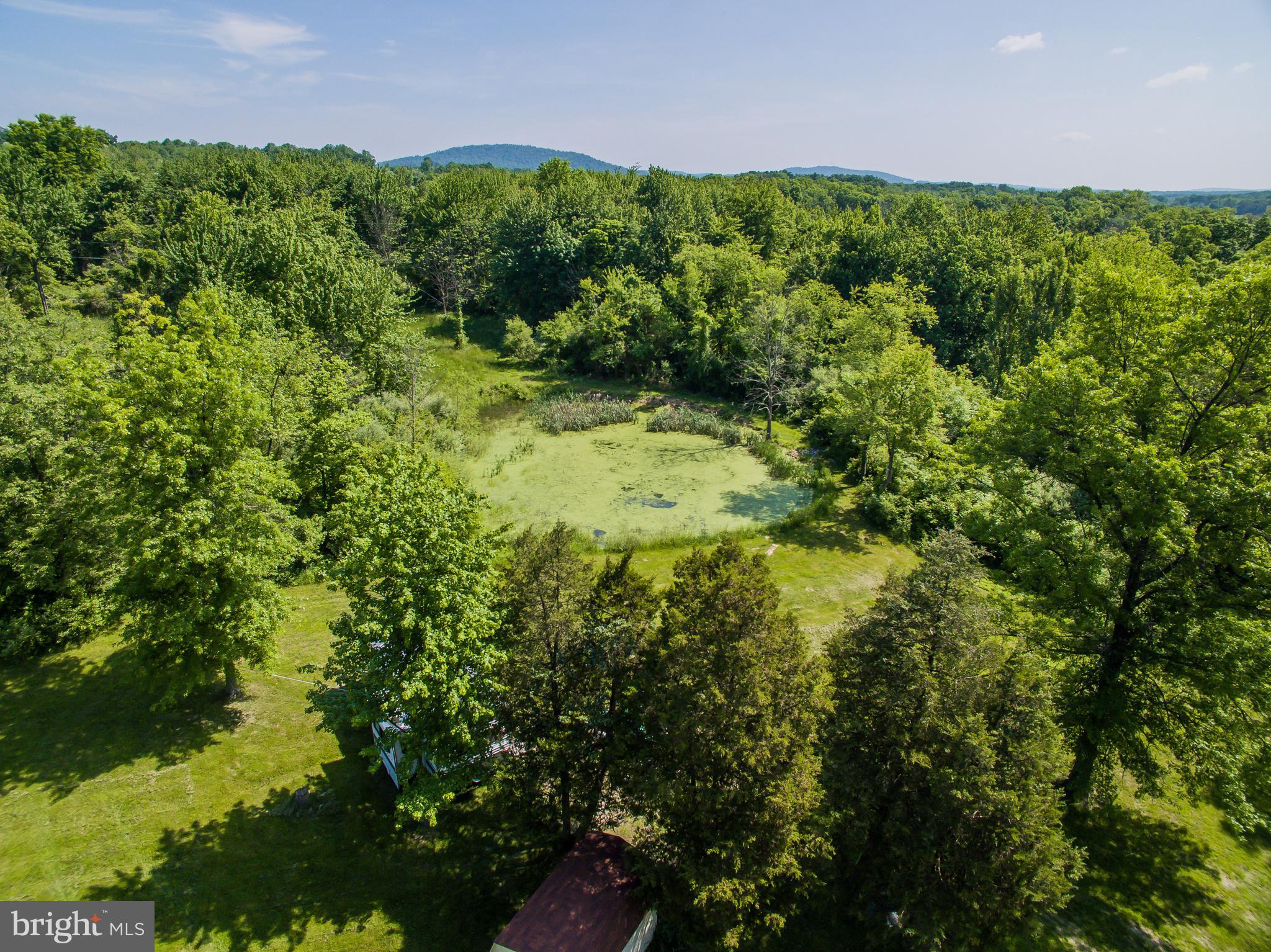 0 Fickes Road Dillsburg, PA 17019 - Photo 9 of 21
