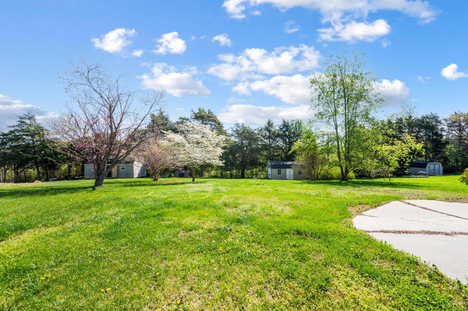 1166 Caperton Way Forest, VA 24551 - Photo 47 of 59