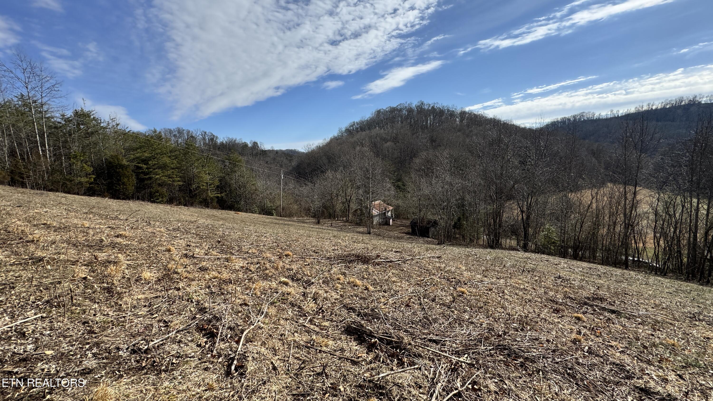 1135 Ned Clark Road Bean Station, TN 37708 - Photo 19 of 31 1135 Ned Clark Rd Bean Station, TN