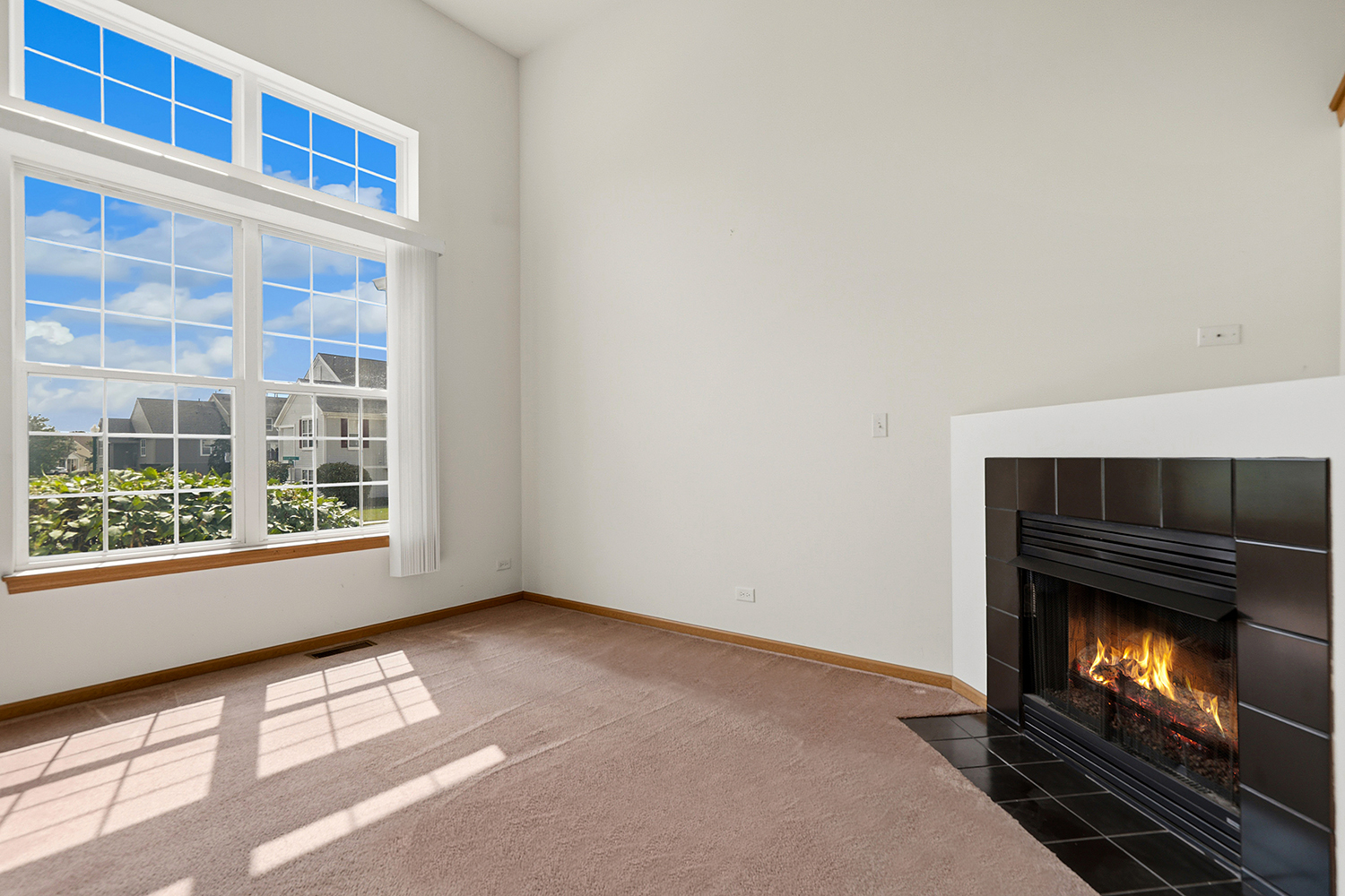 21606 Dogwood Road Matteson, IL 60443 - Photo 2 of 16