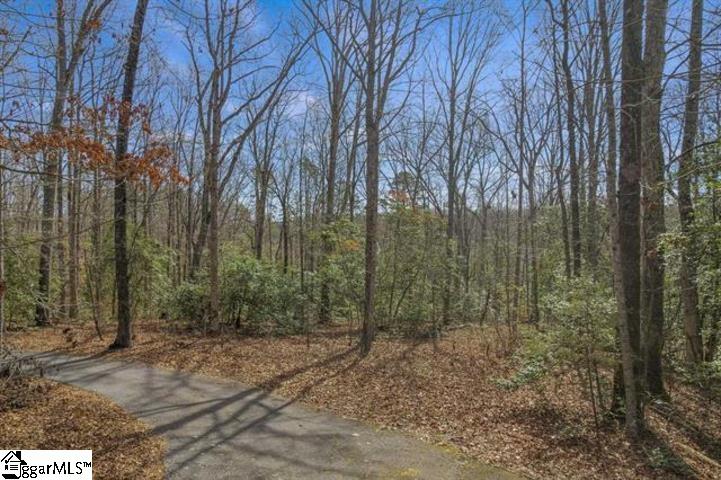 0 Griffin Mill Road, Unit TRACT C Easley, SC 29640 - Photo 13 of 26 Gallery Image 13