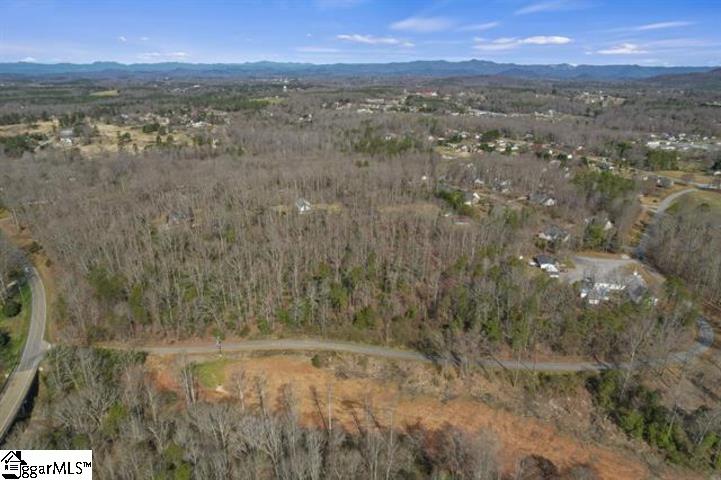 0 Griffin Mill Road, Unit TRACT C Easley, SC 29640 - Photo 2 of 26 Gallery Image 2