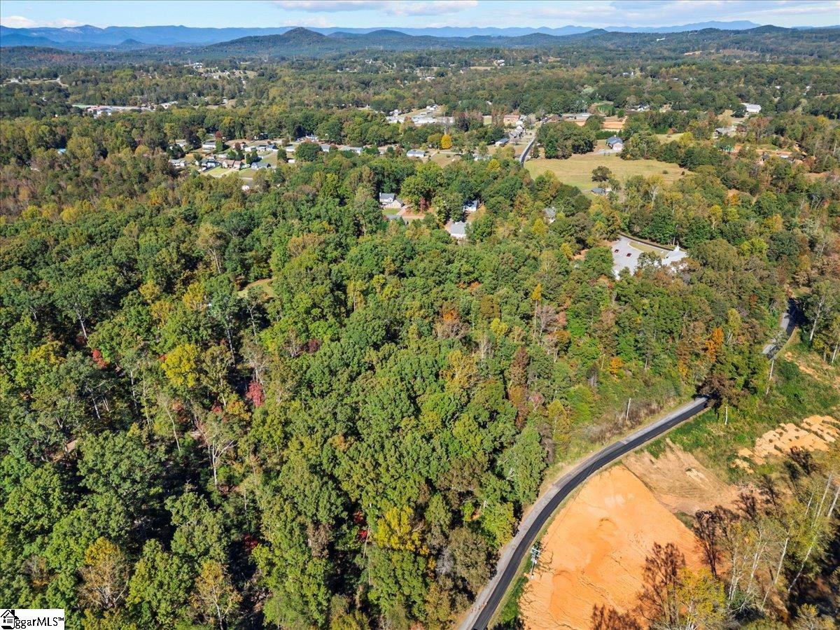 0 Griffin Mill Road, Unit TRACT C Easley, SC 29640 - Photo 21 of 26 Gallery Image 21