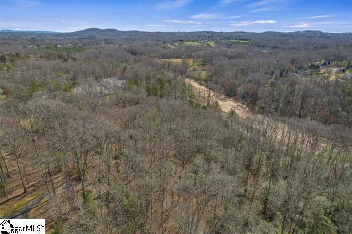 0 Griffin Mill Road, Unit TRACT C Easley, SC 29640 - Photo 8 of 26 Gallery Image 8