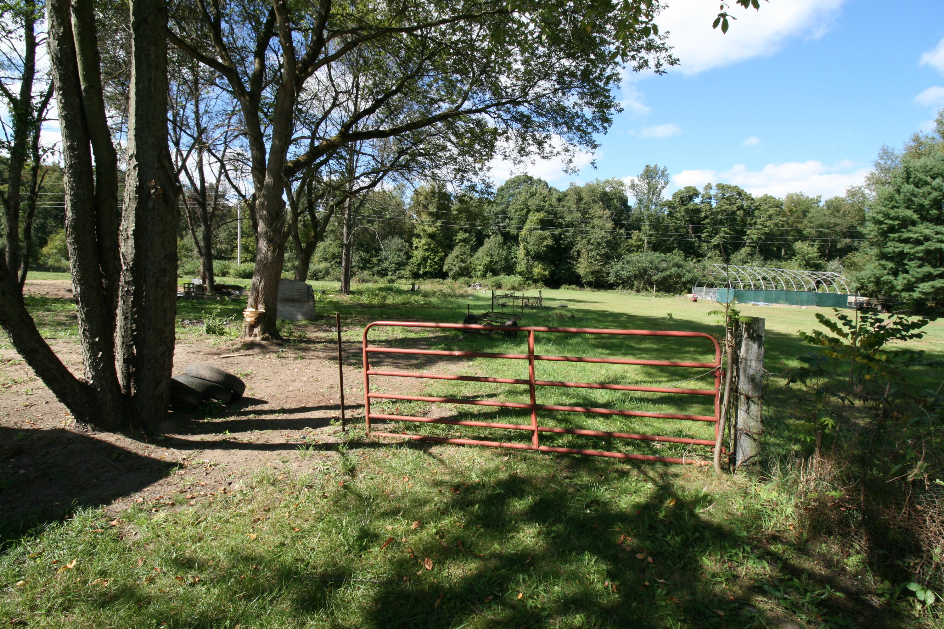 1256 Marsh Road Plainwell, MI 49080 - Photo 36 of 42 IMG_9715