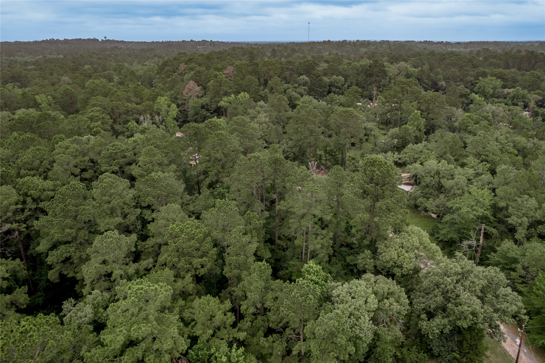 Lot 55 Post Oak Circle Trinity, TX 75862 - Photo 26 of 31