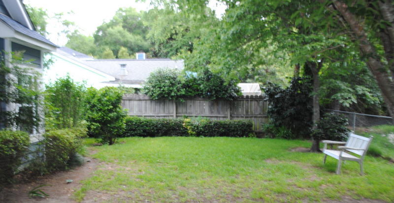1098 Secessionville Road Charleston, SC 29412 - Photo 4 of 5 DSC_0034