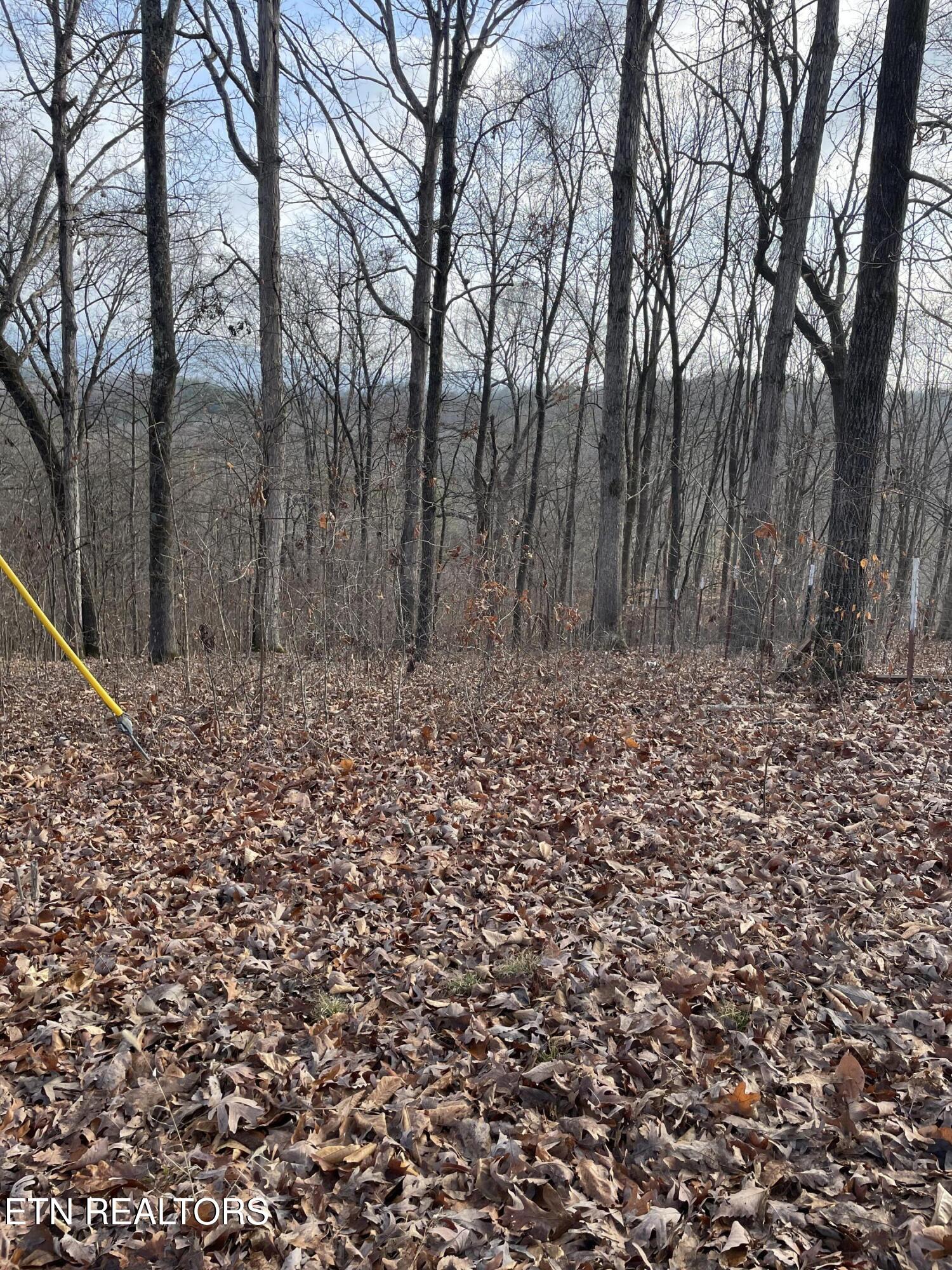 206 Old Citico Road Vonore, TN 37885 - Photo 31 of 39 IMG_3644