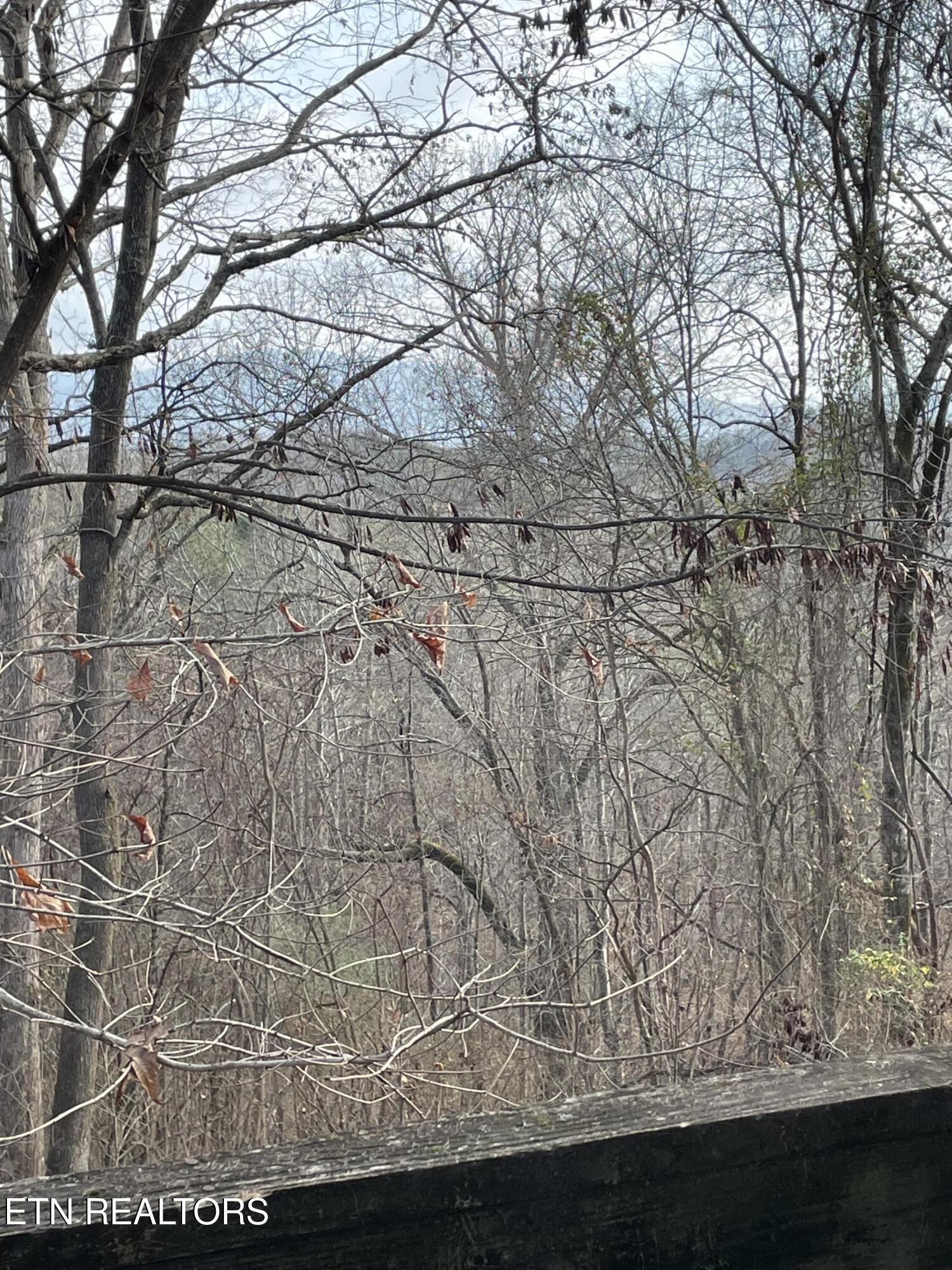 206 Old Citico Road Vonore, TN 37885 - Photo 33 of 39 IMG_3648