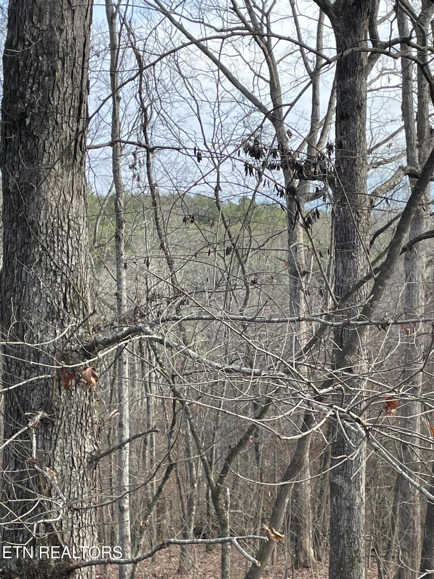 206 Old Citico Road Vonore, TN 37885 - Photo 34 of 39 IMG_3649