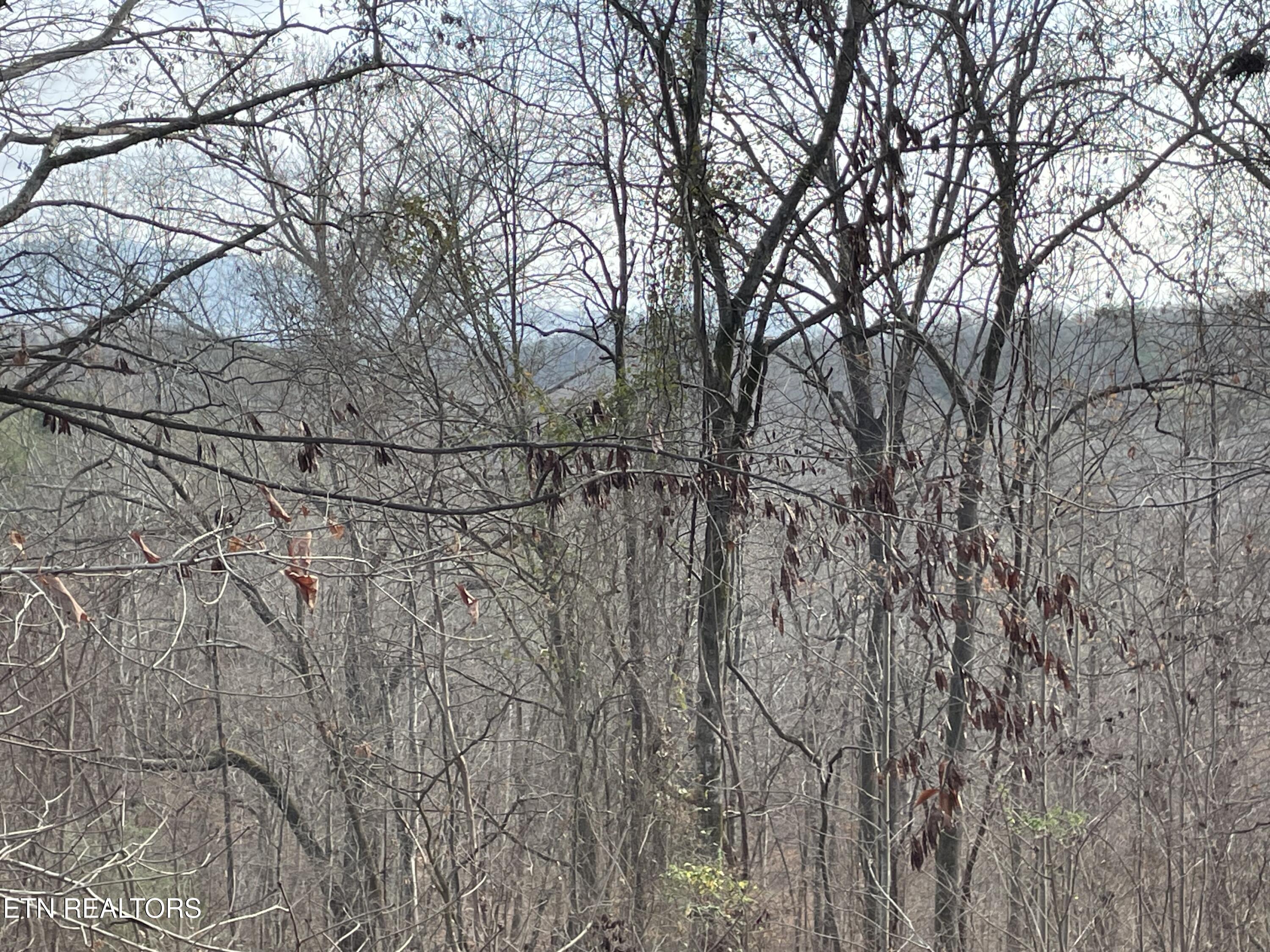 206 Old Citico Road Vonore, TN 37885 - Photo 35 of 39 IMG_3650