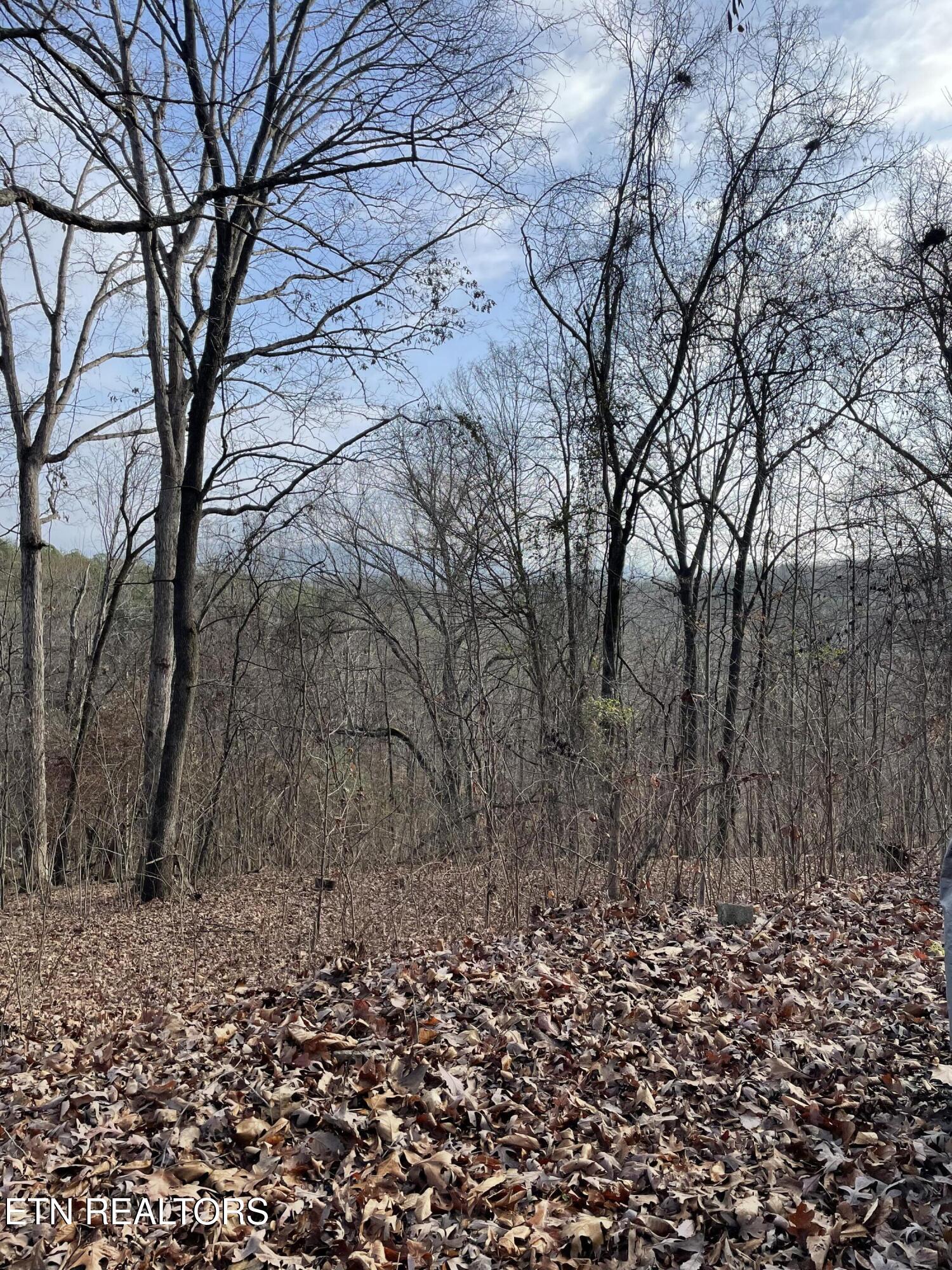 206 Old Citico Road Vonore, TN 37885 - Photo 38 of 39 IMG_3616