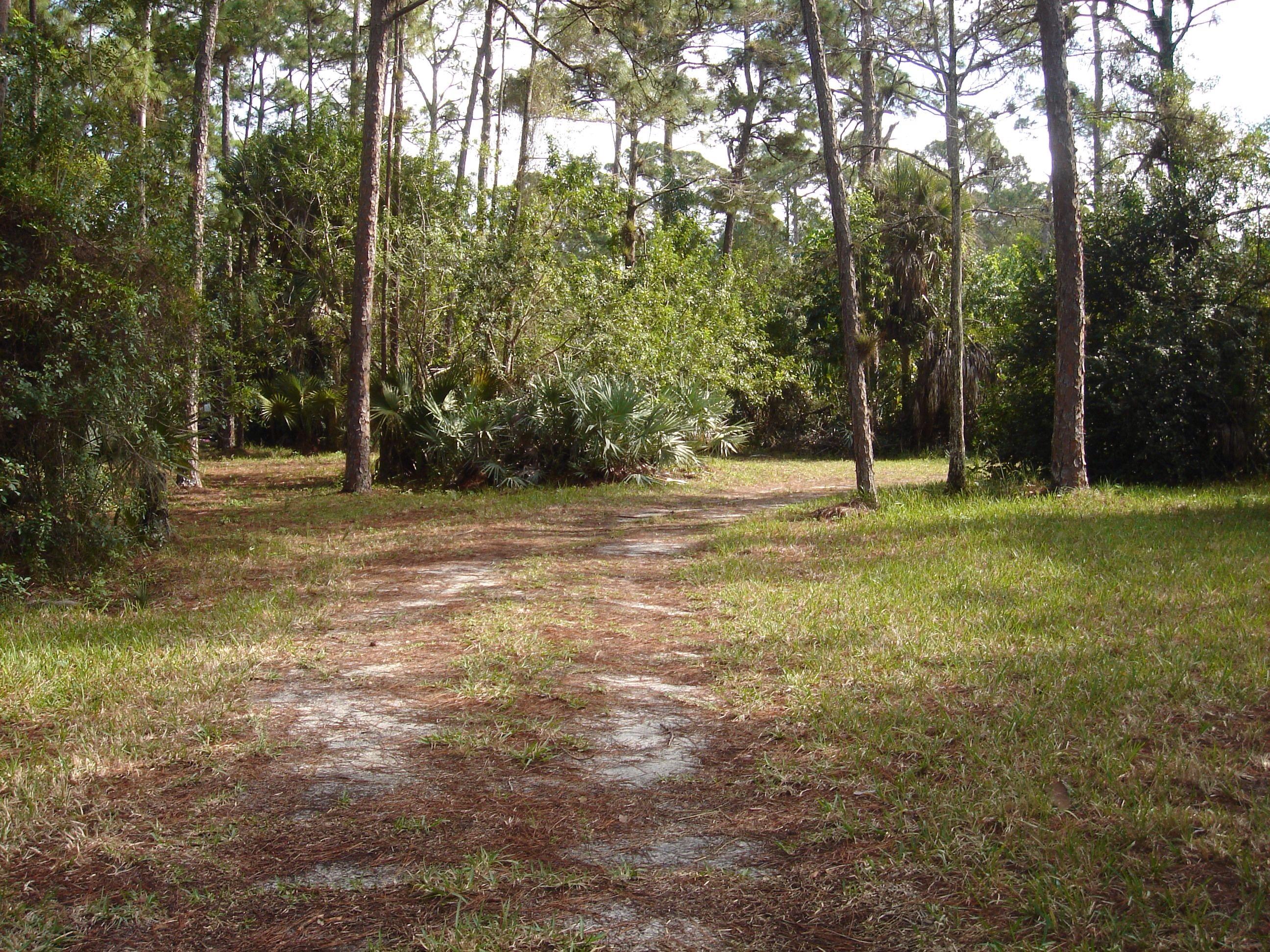1062 A Road Loxahatchee, FL 33470 - Photo 12 of 14 image.jpg
