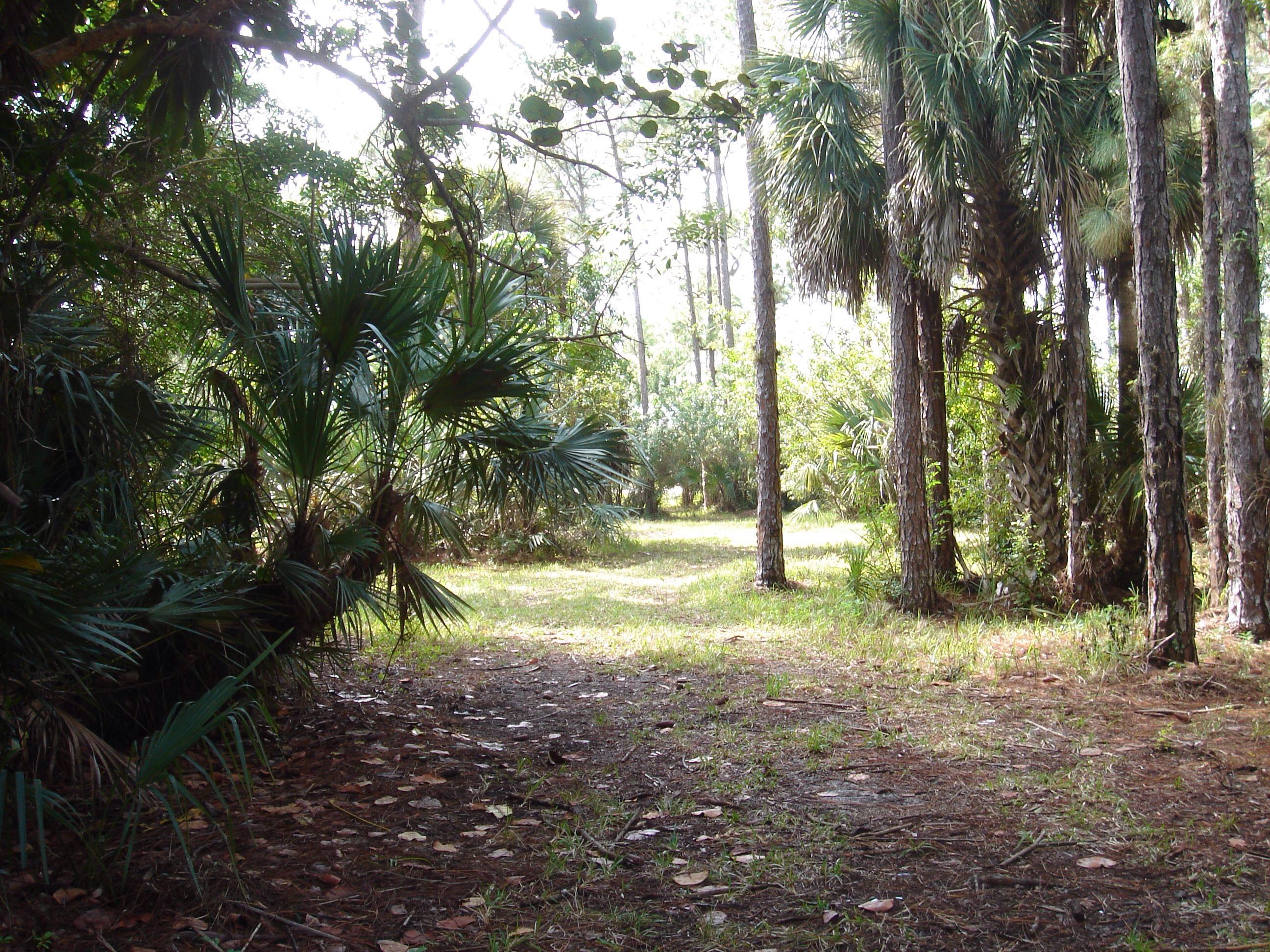 1062 A Road Loxahatchee, FL 33470 - Photo 13 of 14 image.jpg