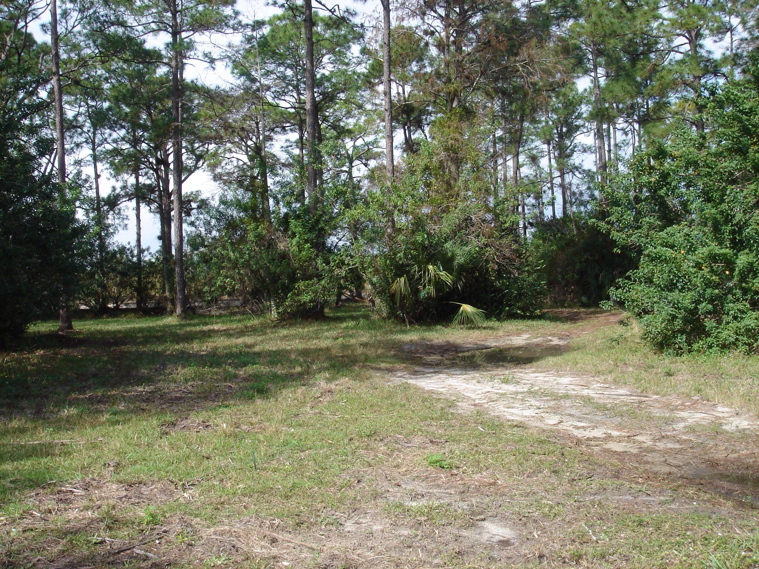 1062 A Road Loxahatchee, FL 33470 - Photo 14 of 14 image.jpg