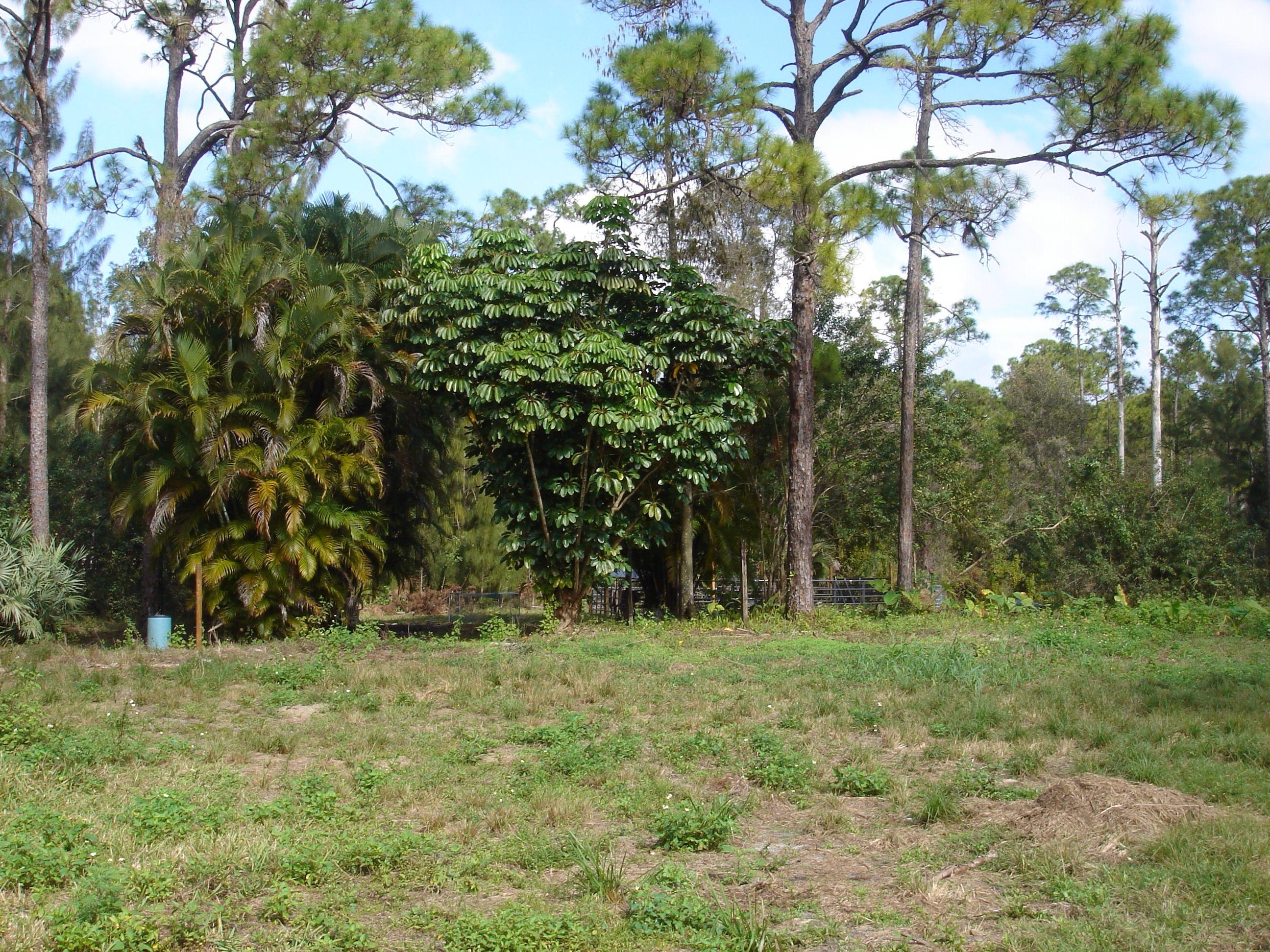 1062 A Road Loxahatchee, FL 33470 - Photo 2 of 14 image.jpg