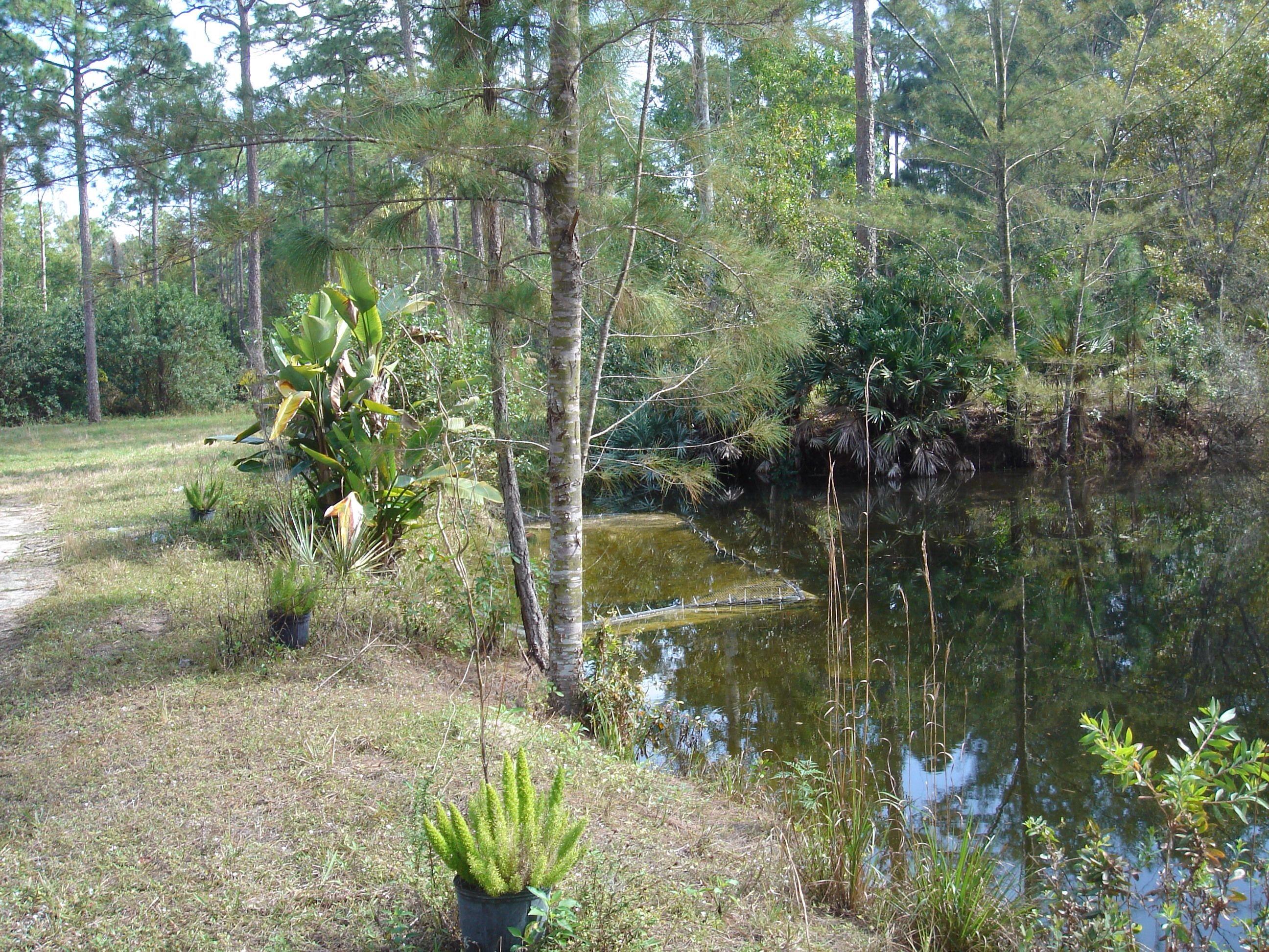 1062 A Road Loxahatchee, FL 33470 - Photo 4 of 14 image.jpg