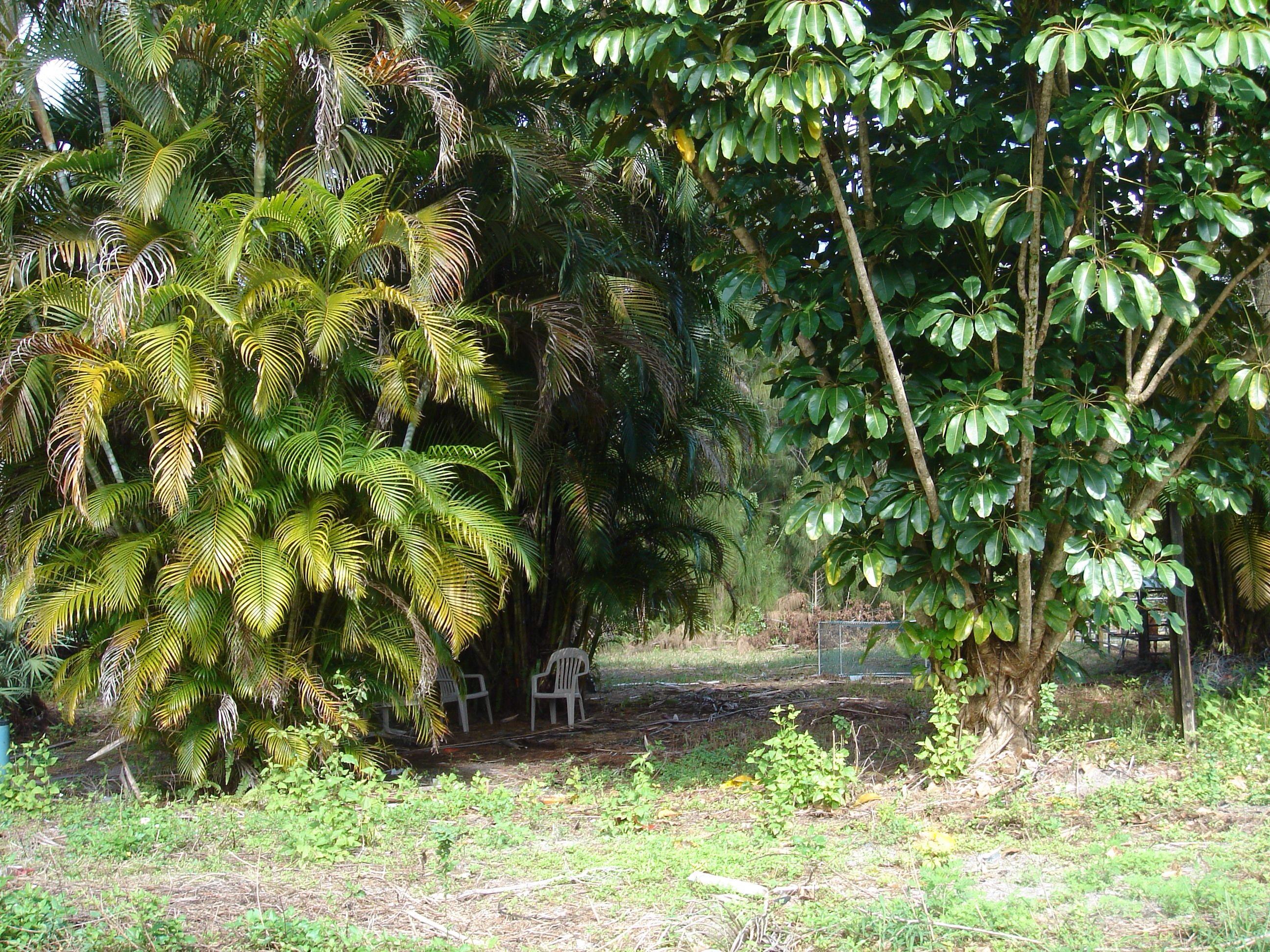 1062 A Road Loxahatchee, FL 33470 - Photo 5 of 14 image.jpg