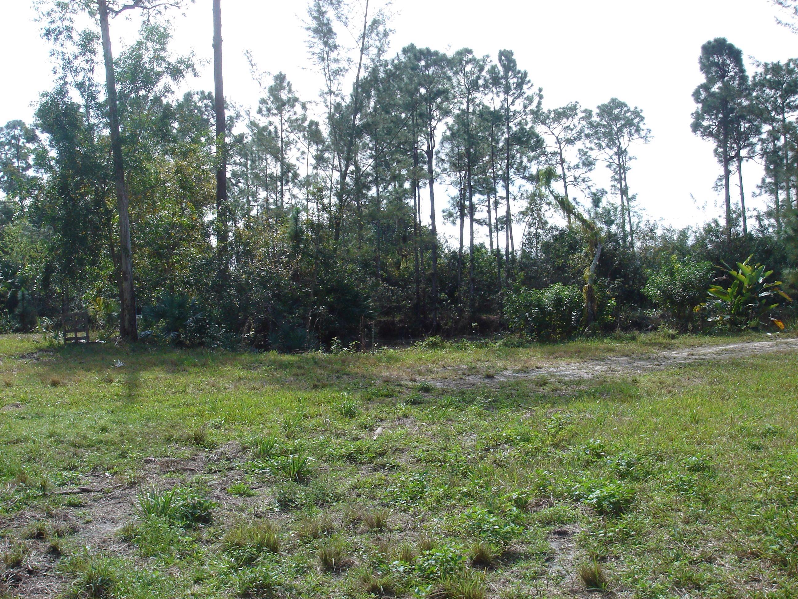 1062 A Road Loxahatchee, FL 33470 - Photo 7 of 14 image.jpg