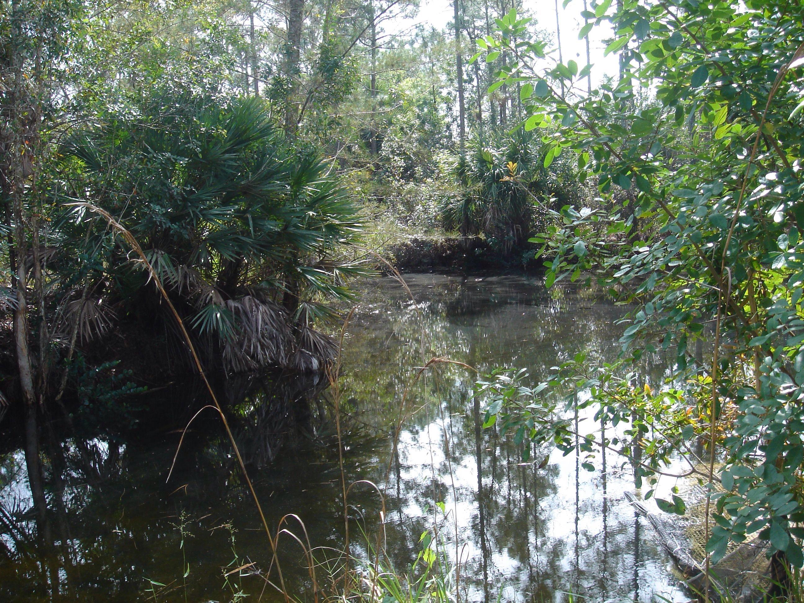 1062 A Road Loxahatchee, FL 33470 - Photo 9 of 14 image.jpg