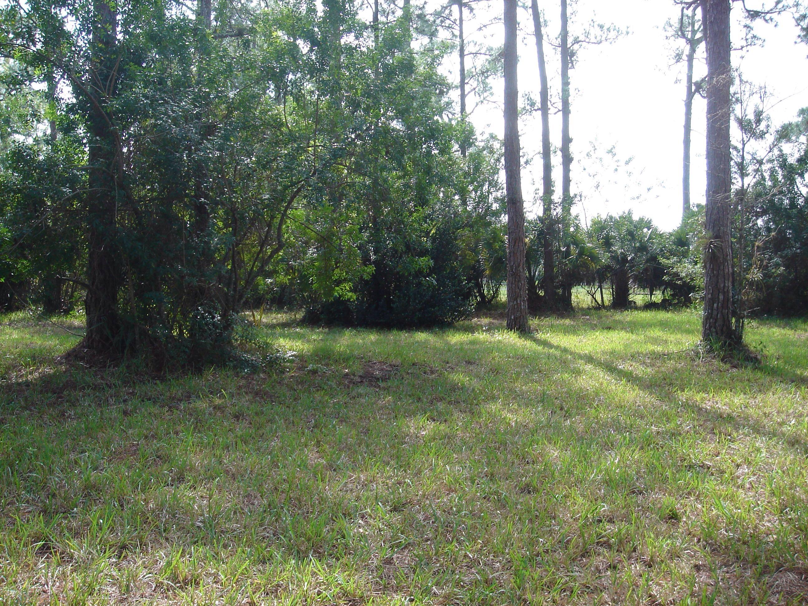 1062 A Road Loxahatchee, FL 33470 - Photo 10 of 14 image.jpg