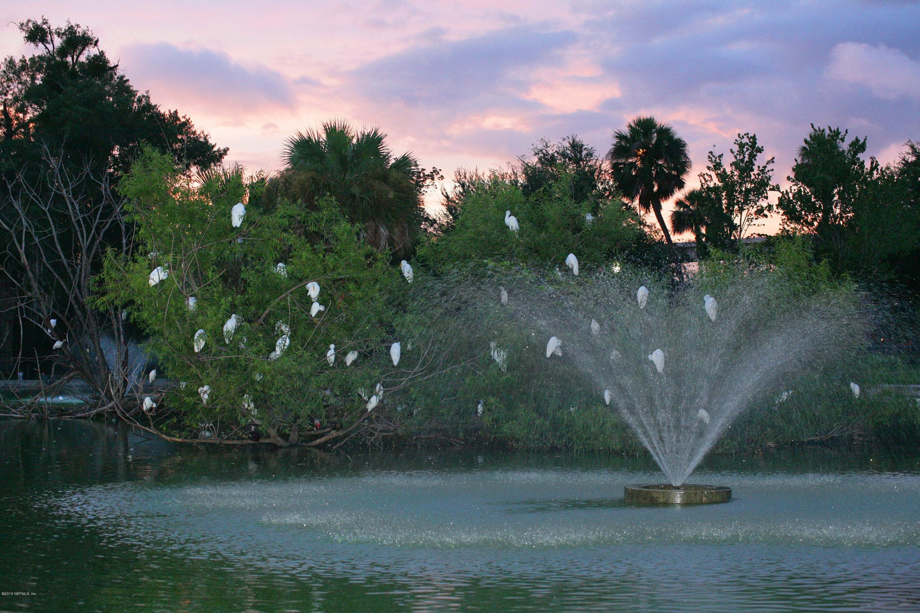 2358 Riverside Avenue, Unit 703 Jacksonville, FL 32204 - Photo 45 of 48 Riverside birds enjoy a fountain.