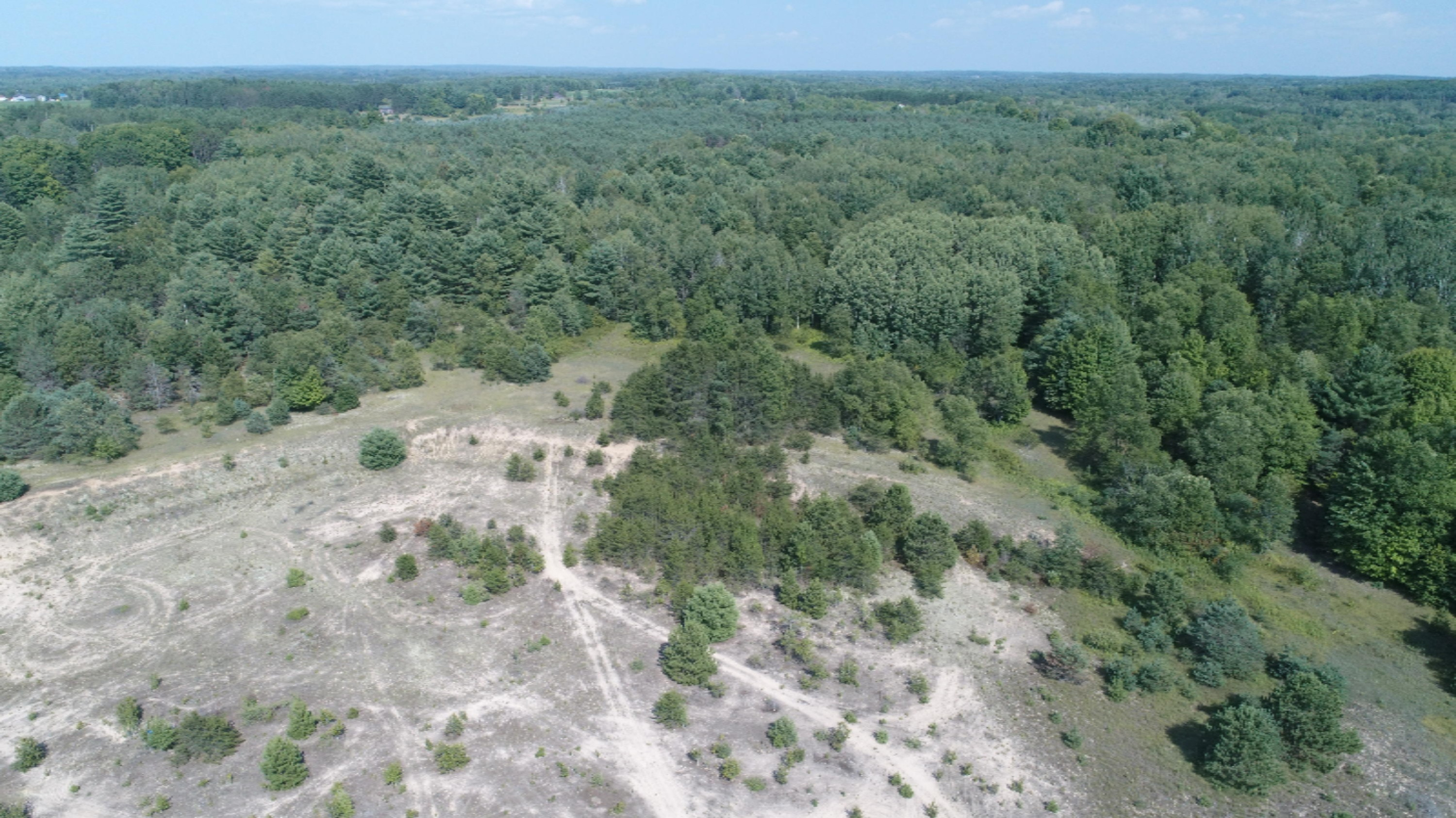 9280 James Street Reed City, MI 49677 - Photo 4 of 9 DJI_0011