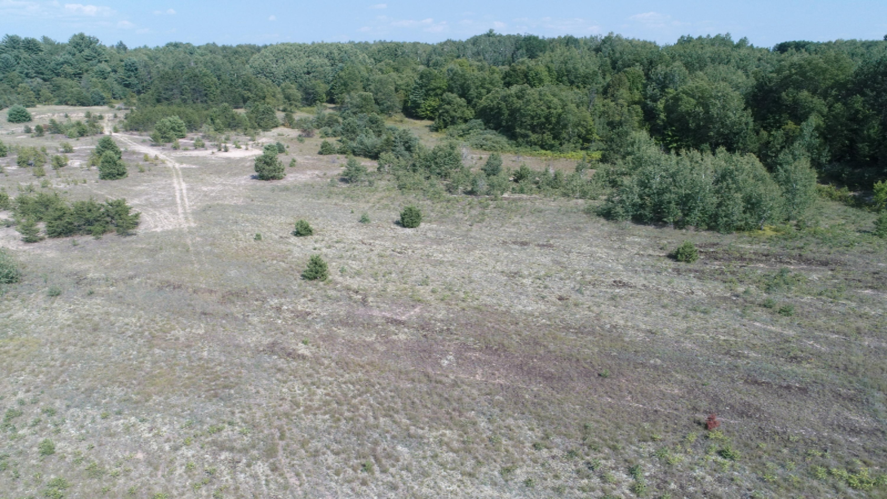 9280 James Street Reed City, MI 49677 - Photo 7 of 9 DJI_0014
