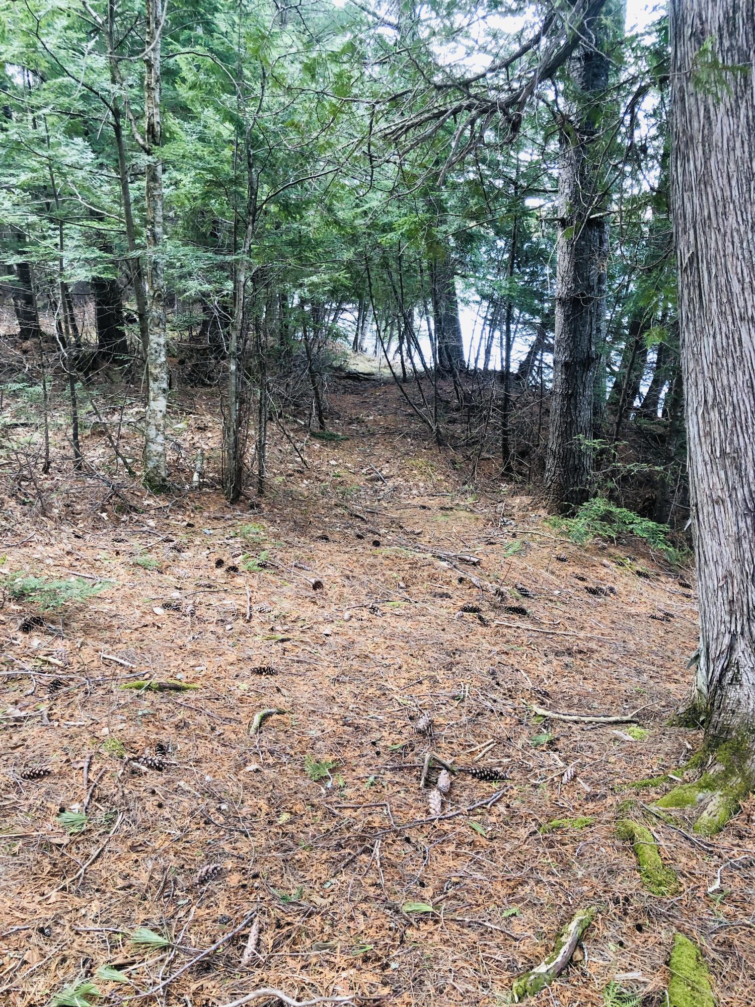 1 Morrill Pond Road Hartland, ME 04943 - Photo 5 of 15 IMG_6350